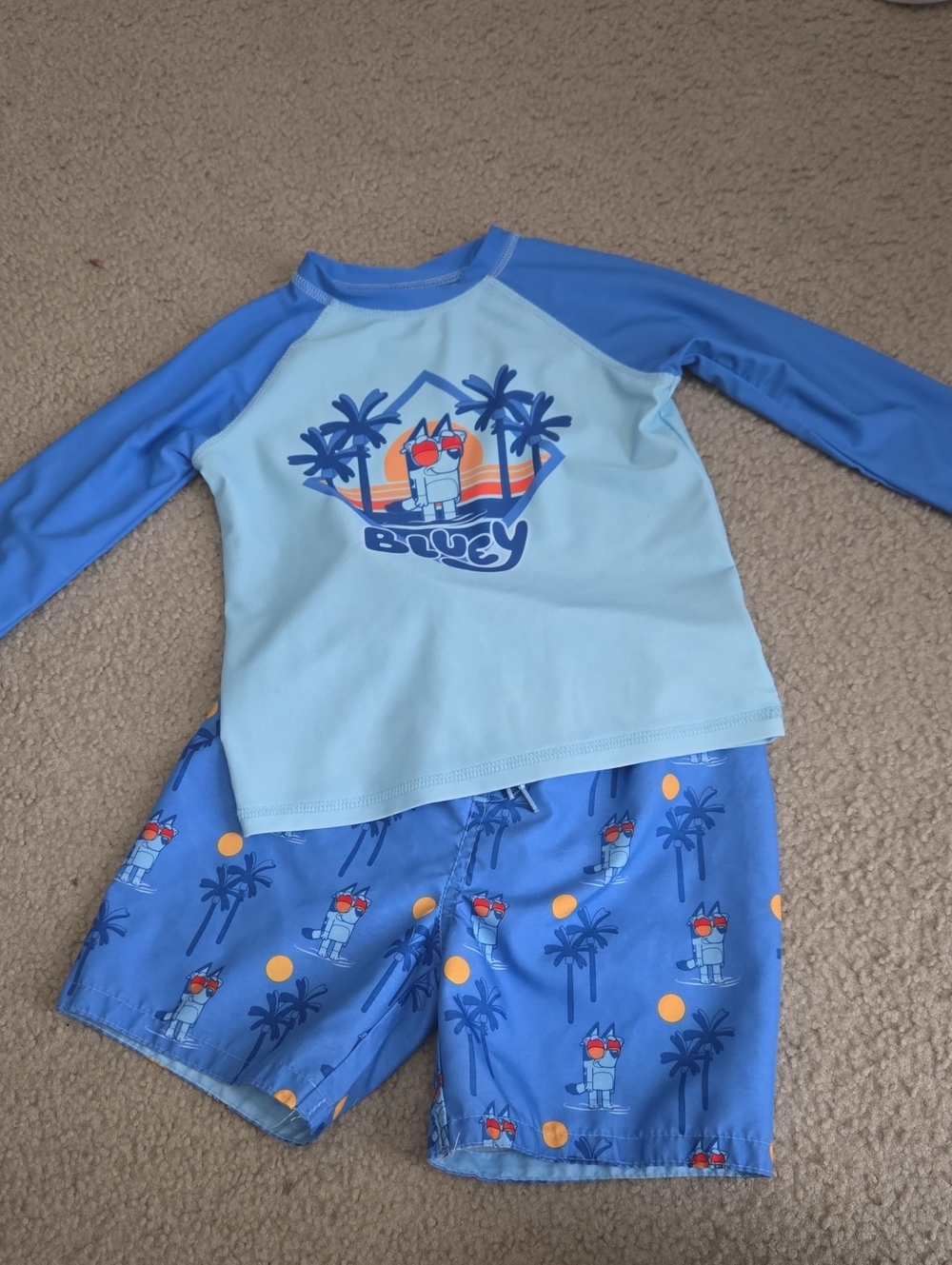 Boys Bluey Swinsuit